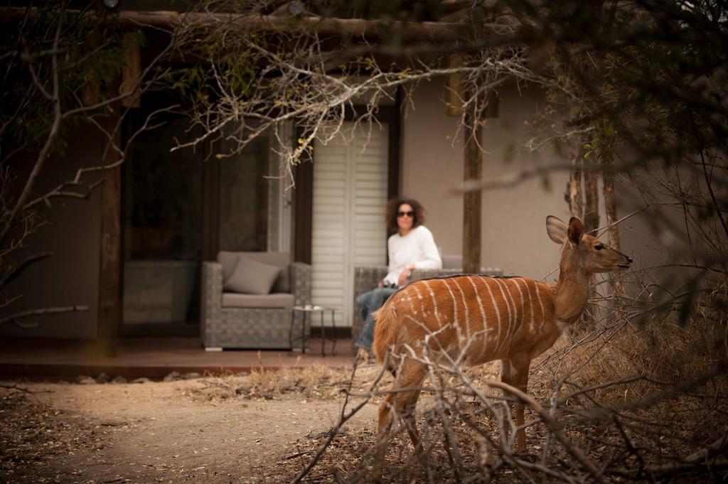 Moditlo River Lodge Hoedspruit Dış mekan fotoğraf