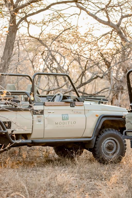 Moditlo River Lodge Hoedspruit Dış mekan fotoğraf
