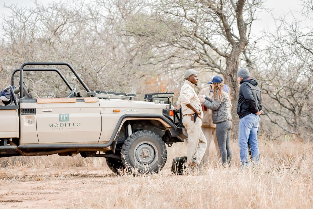 Moditlo River Lodge Hoedspruit Dış mekan fotoğraf