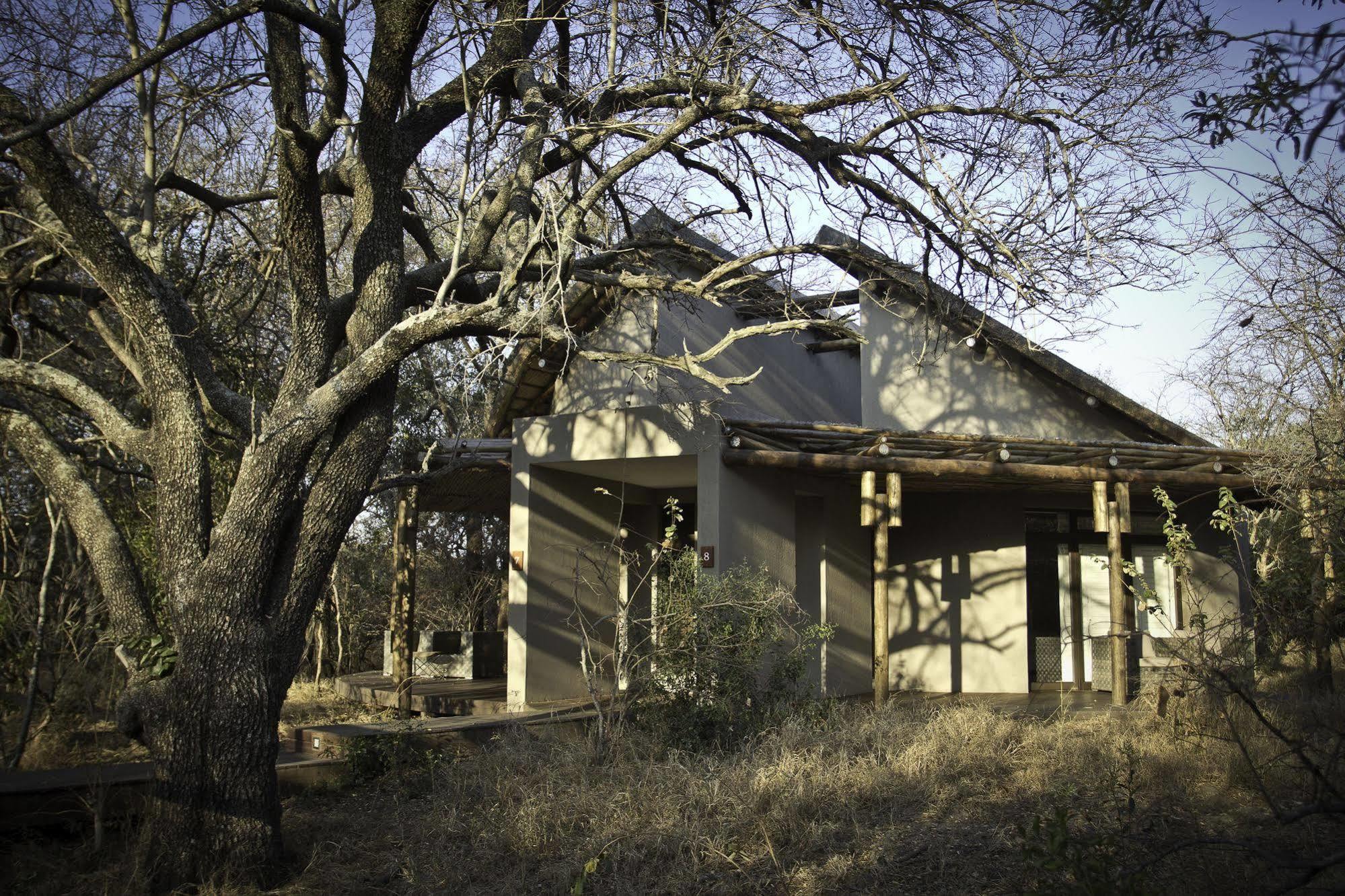 Moditlo River Lodge Hoedspruit Dış mekan fotoğraf